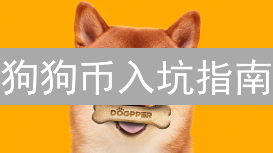 狗狗币入坑指南：新手也能轻松玩转DOGE！🔥