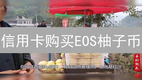 信用卡购买EOS柚子币？深度剖析风险与可行性！