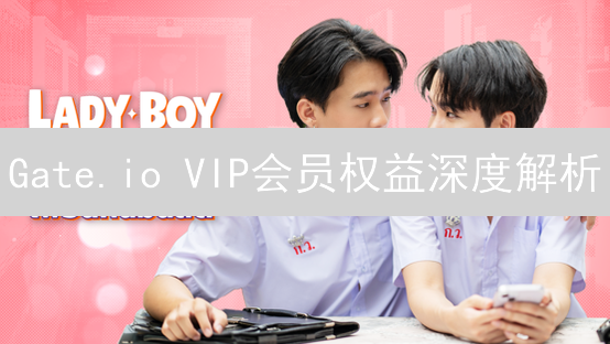 Gate.io VIP会员权益深度解析：尊享待遇与交易优势