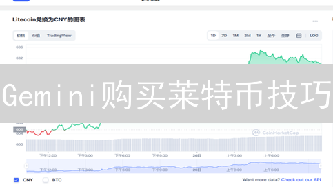 Gemini购买莱特币技巧：降低交易风险实用指南