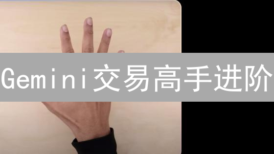 Gemini交易高手进阶：解锁隐藏功能，资产增值秘籍！
