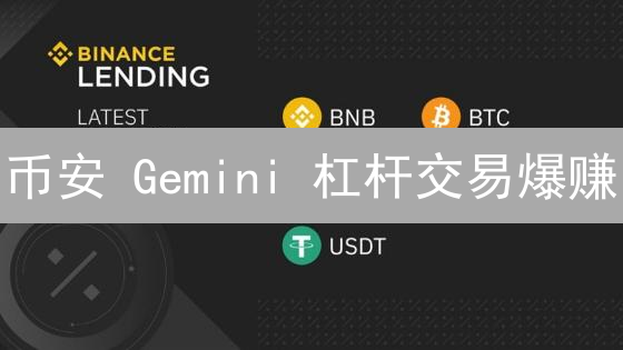 币安 Gemini 杠杆交易爆赚？风险控制至上！
