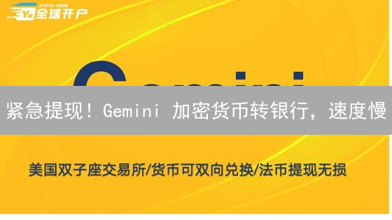 紧急提现！Gemini 加密货币转银行，速度慢？看这篇就够了！