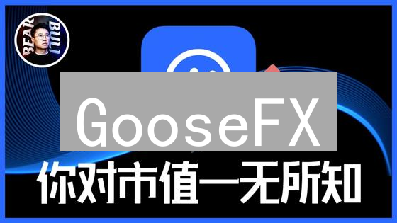 GooseFX：DeFi领域新星，能否成为下一个百倍币？深度分析