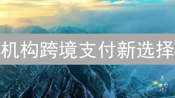 机构跨境支付新选择：摩根币(JPMCoin)应用场景详解【2024最新】