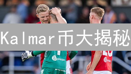 Kalmar币大揭秘：潜力无限？风险几何？速览！