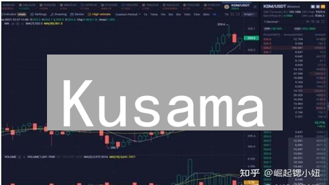 Kusama：欧意用户平行链投资淘金指南 - 探索高回报机会
