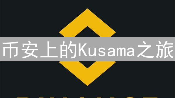 币安上的Kusama之旅：从入门到投资策略