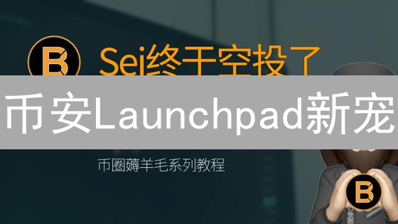 币安Launchpad新宠？深度剖析IDO项目潜在爆发点！