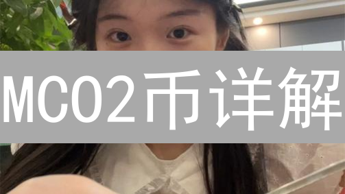 MCO2币详解：定义、原理与环保价值深度解析