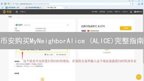 币安购买MyNeighborAlice (ALICE)完整指南