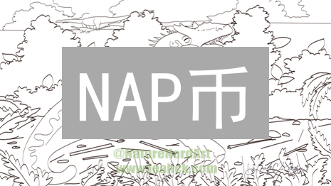 NAP币：引爆去中心化应用革命？【深度解析】