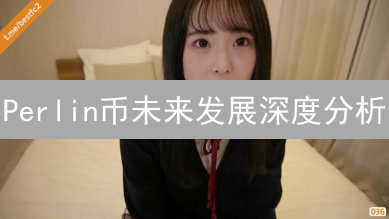 Perlin币未来发展深度分析：技术、市场与挑战