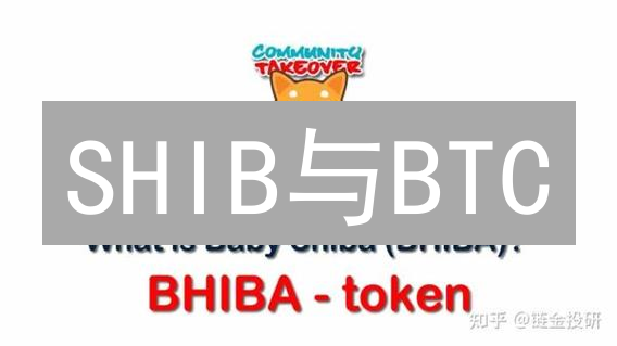 SHIB与BTC：加密货币投资策略差异深度分析