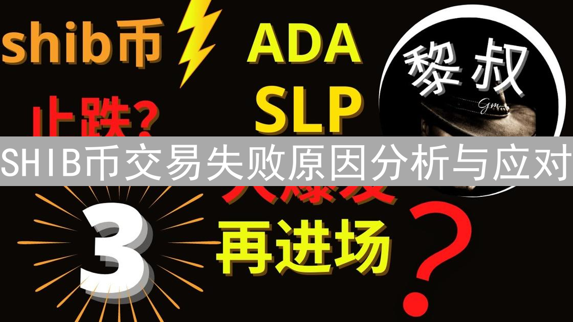 SHIB币交易失败原因分析与应对：Gas费、网络拥堵等