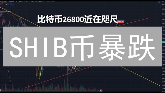 SHIB币暴跌？OKX卖出攻略：3招教你及时止损！