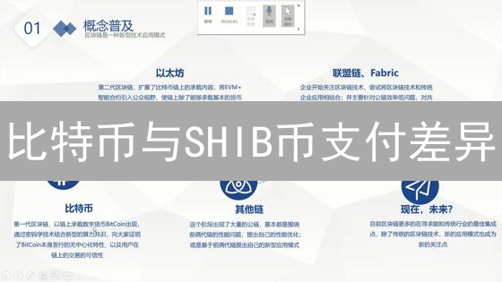 比特币与SHIB币支付差异：应用场景、技术特性与费用对比