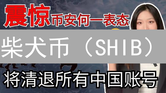 柴犬币（SHIB）：模因币之王？深度剖析与风险预警！