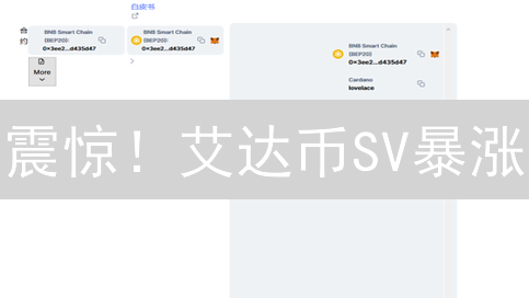 震惊！艾达币SV暴涨？OKX新手购买攻略，速领！
