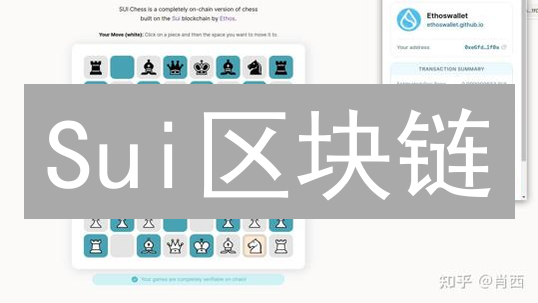 Sui区块链：Web3新星？对象导向与Tango共识解析【速度+扩展性】