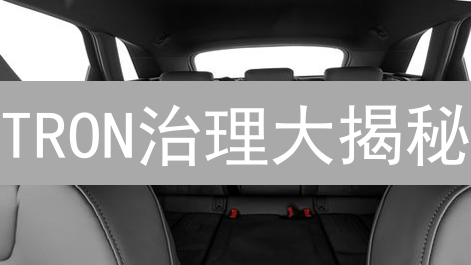 TRON治理大揭秘：谁在掌控未来？