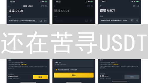 还在苦寻USDT？Kucoin泰达币购买全攻略：告别高价，轻松入手！