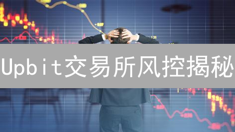 Upbit交易所风控揭秘：如何保障你的法币安全？