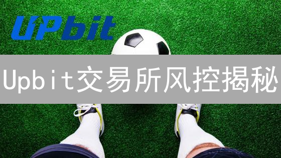 Upbit交易所风控揭秘：多层次风险管理如何保障用户资产？
