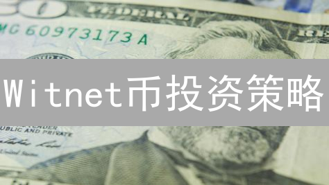Witnet币投资策略：技术分析与长期持有指南！