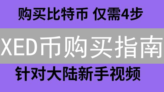 XED币购买指南：哪里购买及购买渠道详解