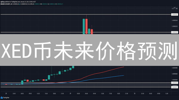 XED币未来价格预测：谁将是下一个暴富神话？ | 现在上车还来得及吗？