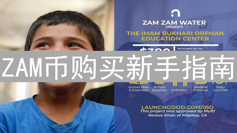 ZAM币购买新手指南：交易所选择与交易入门详解