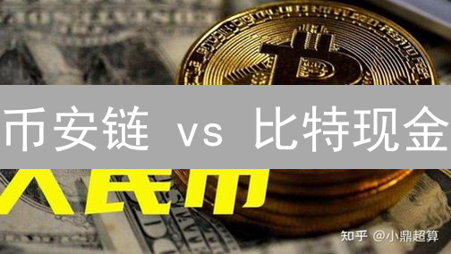 币安链 vs 比特现金：速度、去中心化，谁是未来？